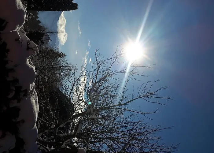 Domek alpejski Yulia